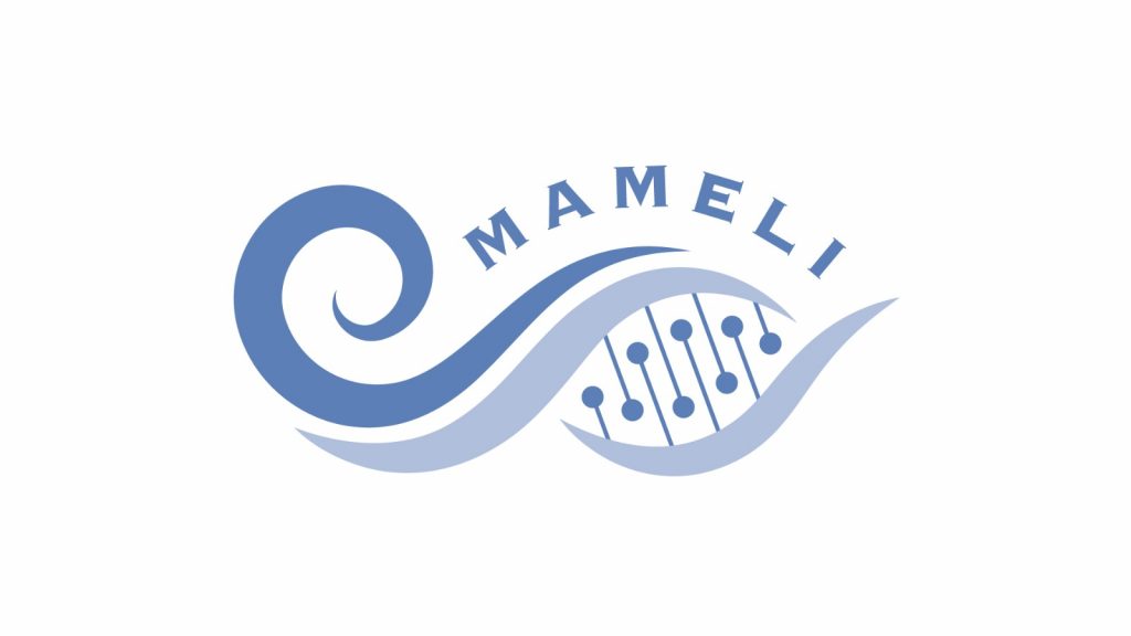 Logo MAMELI