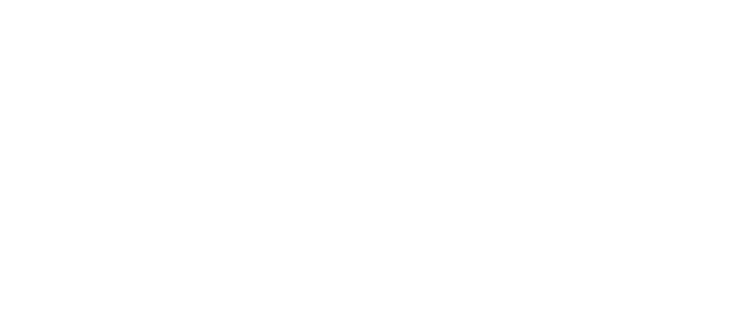 logo mameli