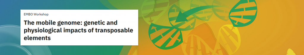 Copertina ufficiale del workshop EMBO di Heidelberg